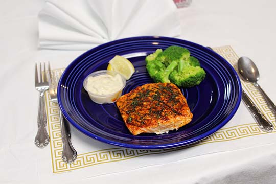 Salmon Salmon